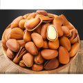 Cheap Certified Dry Fruit Chinese Pine Nuts Pine Kernel